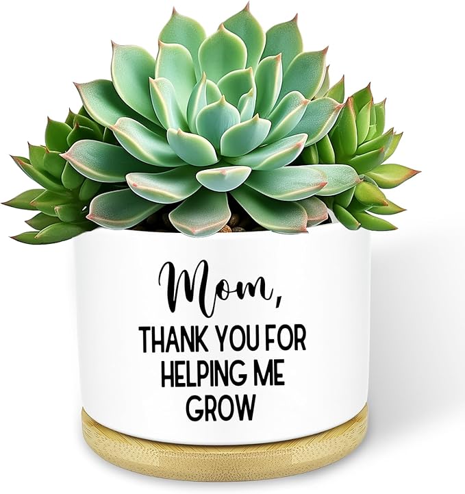 Thank You for Helping Me Grow Succulent Planters Plant Mom Gifts, Funny Plant Pots, Cute Flower Pots for Indoor Plants, Small Succulent Pots Mom Birthday Present Gifts for Her, Without Plant