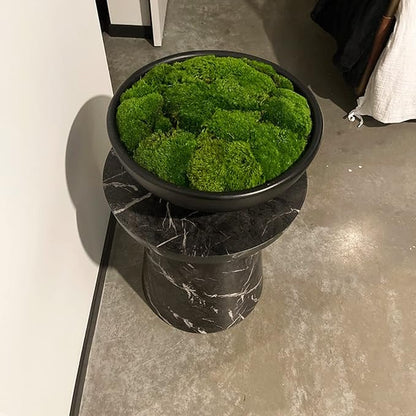 Preserved Pole Moss Pillow Bun Cushion Natural Green Decorative Real Natural Green DIY Kit Terrariums Gardenning Art Wall Decor Florist Decor Easter Table Decor Wedding(13.5 sq.ft., Green-B)
