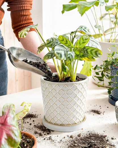 LE TAUCI Ceramic Pots for Plants, 5.4 Inch Plant Pots with Drainage Hole and Saucer, Indoor Plant Pots for Succulent, Snake Plants and Cactus, Flower Pots, Set of 2, Reactive Glaze White