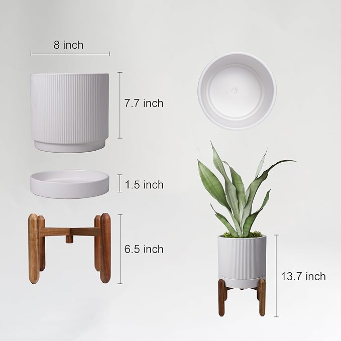 8 Inch Ceramic Planter with Natural Wood Stand w/Drainage & Saucer - Modern Indoor Planter for Cacti, Snake Plants & Aloe Vera