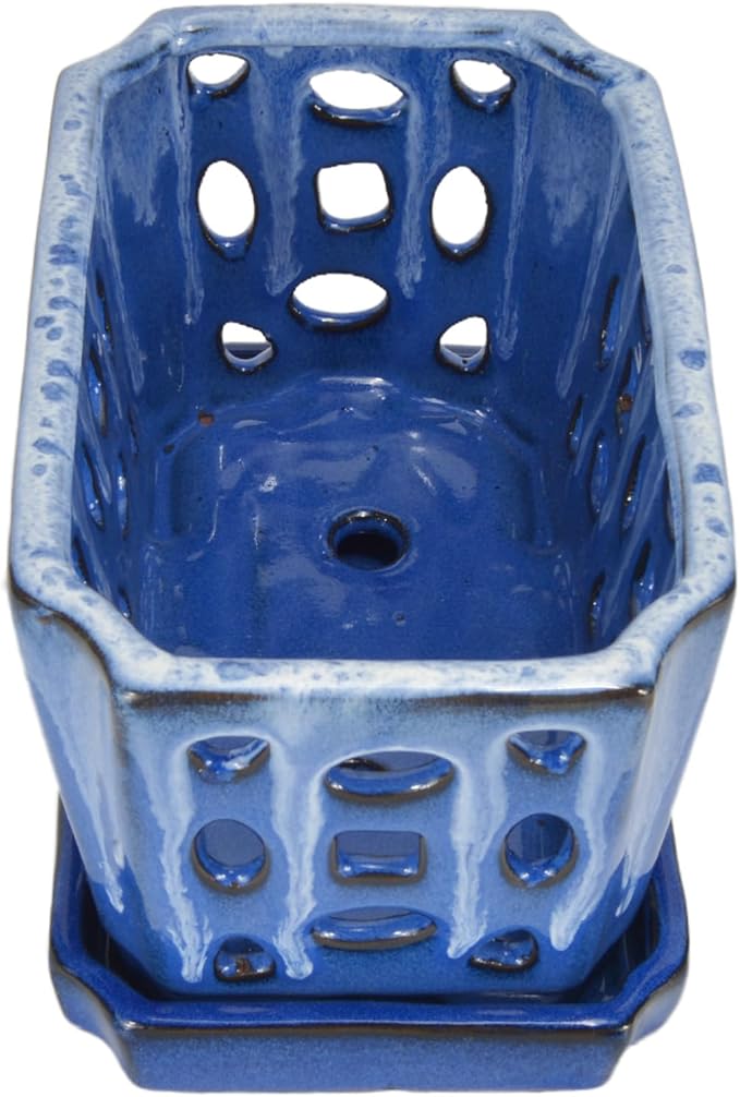 W&W Orchid Pot with Holes and Saucer for Repotting, White and Blue, 9.7 Inches