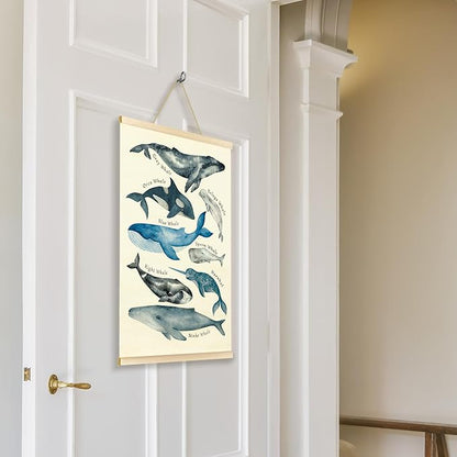 TAEDIN Whales Ocean Animal Chart Poster Hanger Frame, Whales Nautical Wall decor Educational Wooden Canvas Print, Sea Life Beach Wall Decor Painting for Classroom Nursery Bedroom Teen Room 16X24