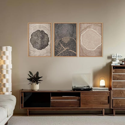 HOURIA Neutral Brown Tree Rings Framed Canvas Wall Art Set,Modern Beige Tan Wood Stump Wall Decor,Vintage Abstract Tree Spiral Art Print,Nature Black Artwork for Living Room,Bedroom,Office- 24"x36"x3