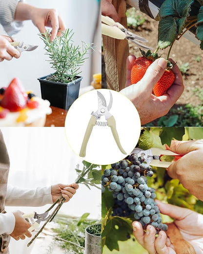Pruning Shears for Gardening, 2 Pack Garden Scissors for Cutting Fresh Flowers, Floral Clippers for Plants, Fruits (Yellow)