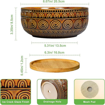Bonsai Pots 8 Inch - Ceramic Succulent Planters for Indoor Plants, Shallow Plant Pots with Drainage Hole and Saucer, Boho Round Planter Bowl, Office Decor, Brown