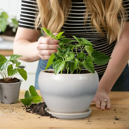 Planter Pot 6 Inch - Ceramic Plant Pot with Drainage Hole and Saucer, Round Glaze Succulent Pot for Plants, White