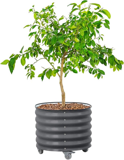 Rolling Metal Citrus Tree Planter Pot, 24″ Round Planter Box for Porch Patio & Backyard, 30 Gallon Large Planter Pot with Wheels for Growing Trees Tomatoes Vegetables and Flowers, Modern Gray