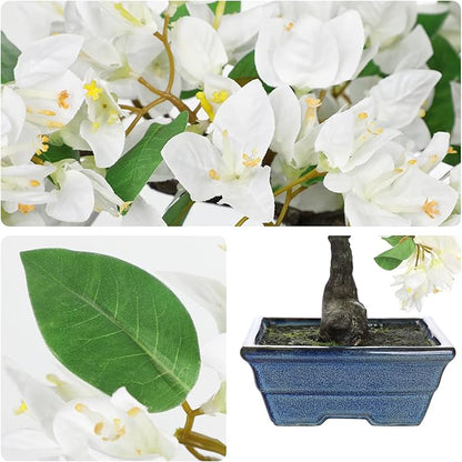Briful Artificial Bougainvillea Tree in Blue Pot 18.5" Tall Faux Bougainvillea Floral Tree Tropical Silk Fake Bougainvillea Plant for Home Office Living Room Table Décor(White)
