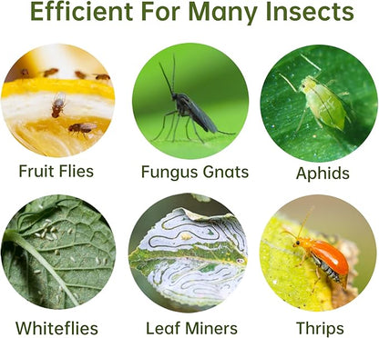 120 Pack Fruit Fly Trap for Indoors, Fungus Gnat Killer Indoor Sticky Traps for Mosquito and Flying Insects, Bug Pest Insect Catcher Killer for Houseplant