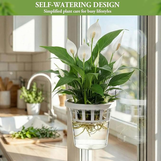 4 Set Window Propagation Stations Plastic Wall Hanging Planter with Suction Cups Clear Self Watering Window Mounted Plant Pots for Indoor Plants Bathroom Living Room Office Decor Gift
