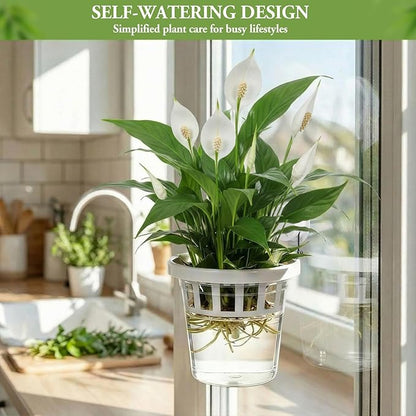 4 Set Window Propagation Stations Plastic Wall Hanging Planter with Suction Cups Clear Self Watering Window Mounted Plant Pots for Indoor Plants Bathroom Living Room Office Decor Gift