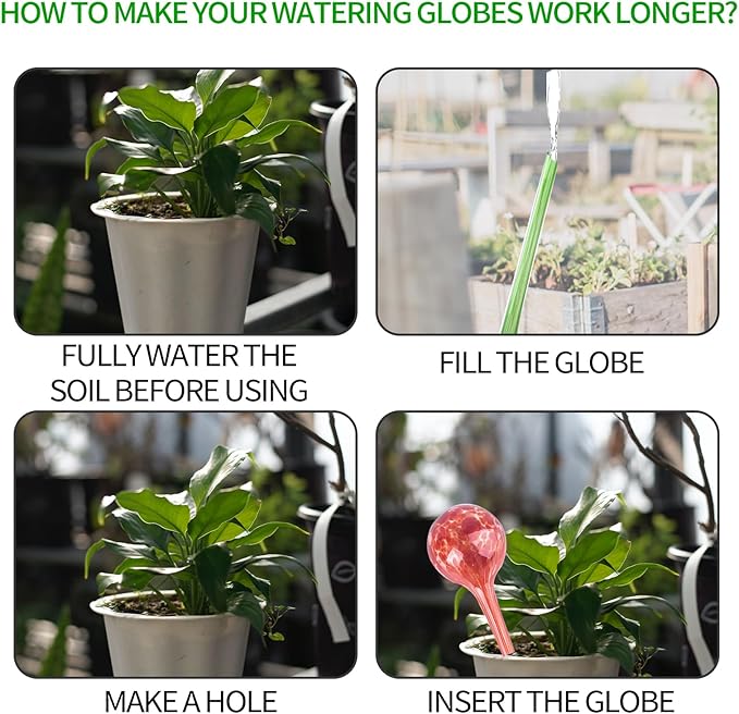 Plant Watering Globes Set of 4,Medium Glass Self Watering Globes for Indoor & Outdoor Plants Vacation Plant Care Automatic Watering Bulbs Self Watering Planter Insert