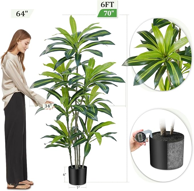 6Ft Dracaena Plant Artificial Tree Fake Tropical Floor Plants Potted (Real Touch) Artificial Silk Tree Leaf Faux Trees Black Tall Planter for Home Office Living Room Indoor Outdoor Decor（1Pack）