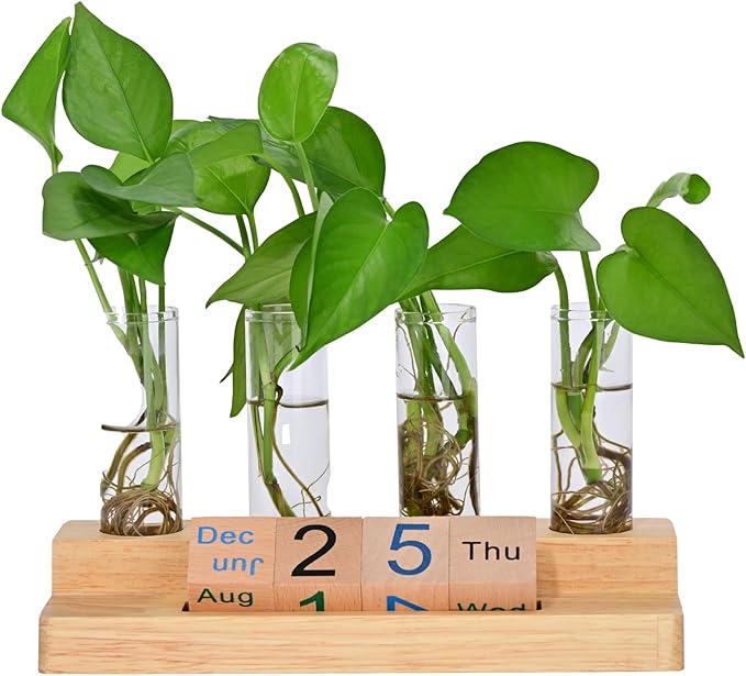 Plant Propagation Station with Block Calendar for Desk, Double-Layer Stand Design, More Stable Placement, Perfect Gardening Gifts for Plant Lovers Women (Light Wood Color)