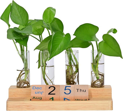 Plant Propagation Station with Block Calendar for Desk, Double-Layer Stand Design, More Stable Placement, Perfect Gardening Gifts for Plant Lovers Women (Light Wood Color)