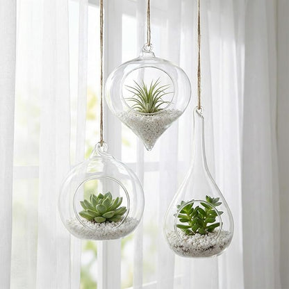 Zopeal 3 Pack Glass Hanging Planter Air Fern Holder Terrarium Plants Hanger Vase and 3 Pcs Wall Planter Propagation Stations Glass Flower Vase for Plant Lovers Gifts Home Christmas Hydroponic Plants