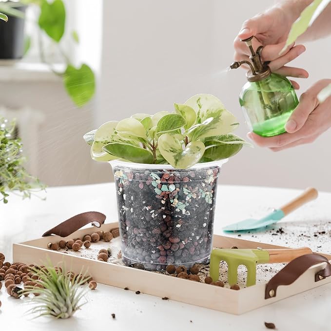 30 Pcs Clear Nursery Pots with Drainage Indoor 5 6 7 Inch Nursery Pot with Drainage Holes Plastic Seedling Pots for Plants, Plant Starter Pot with Holes Clear Plastic Planter with Plant Saucers