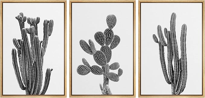 Ashbrook Framed Wall Art Print Set Black & White Southwest Desert Cactus Nature Floral Photography Modern Decorative Multicolor Relax/Calm for Living Room, Bedroom, Office - 24"x36"x3 Natural