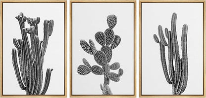 Ashbrook Framed Wall Art Print Set Black & White Southwest Desert Cactus Nature Floral Photography Modern Decorative Multicolor Relax/Calm for Living Room, Bedroom, Office - 24"x36"x3 Natural
