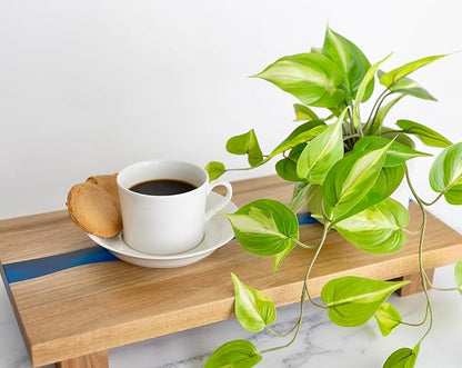 Kurrajong Farmhouse Light Green Fake pothos Plant | Fake Plant for Shelf Decor | Artificial Trailing Ivy Plant with 5" Wide x 3.5" high Ceramic Pot | Faux pothos | Feaux Pothos