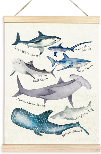 TAEDIN Watercolor Shark Ocean Animal Chart Poster Hanger Frame, Educational Shark Decor Wood Wooden Canvas Artwork Print, Sea Life Wall Painting for Home Bedroom Classroom Library Dorm Decor 12X16