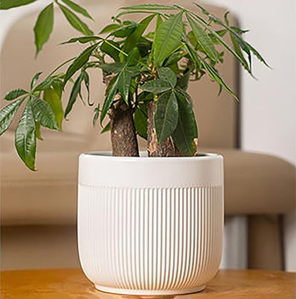 Ceramic 5.2+6.5 inch Planters, Modern Home and Office Flowerpot, Indoor and Outdoor Flowerpot with Drainage Hole (White)
