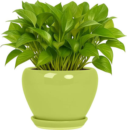 Deep Dream 6 Inch Plant Pots- Ceramic Planter Pot with Drainage Hole and Saucer, Round Flower Pot for Indoor Outdoor Succulent, Snake Plants and Cactus, Mint Green