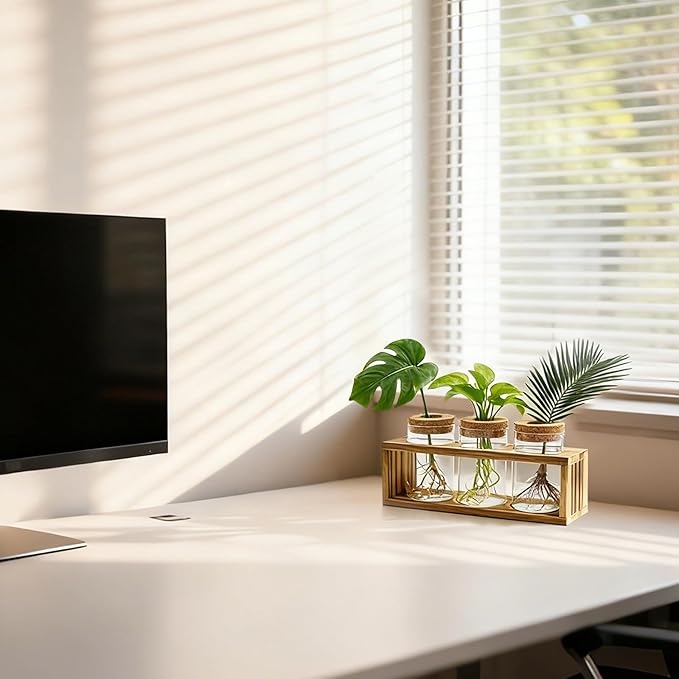 Propagation Stations, Plant Terrarium for Indoor Hydroponic Decor, Glass planters for Fresh Cuttings, Unique Birthday Gifts for Women & Mom, Home/Office Decor