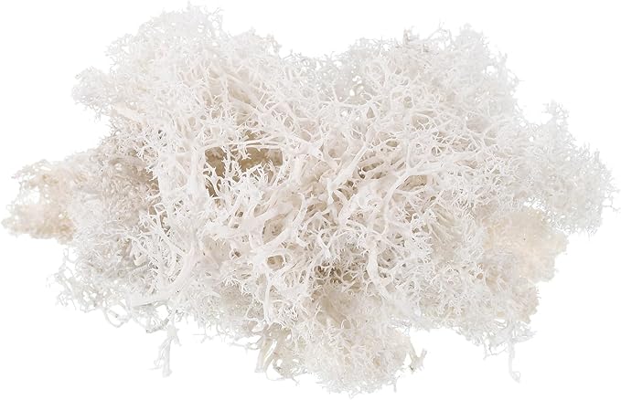 MECCANIXITY 3.5 OZ Moss Fake Craft Moss Artificial Moss Natural Preserved Moss for Craft Arts Floral DIY Project Wall Wedding Garden Patio Table Terrariums Decoration(White)