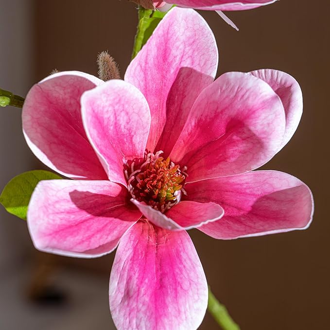 Tall Fake Magnolia Flower Tree Artificial Trees Cherry Blossom Floor plantas Indoor Outdoor Realistic for Home Living Room Office Porch Outside Patio arboles para decoracion Housewarming Gift