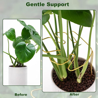 2 PCS Monstera Plant Support, Gold Monstera Stabilizer Grapple Holder, Unique Design for Turtle Shell Bamboo Clamp Set, Ideal Plant Stem Support Ring Stakes for Indoor Outdoor Climbing Plant