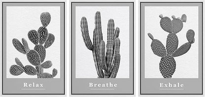 Ashbrook Framed Wall Art Print Set Black & White Grayscale Desert Succulents Nature Wilderness Photography Modern Art Boho Scenic Dramatic for Living Room, Bedroom, Office - 16"x24"x3 White