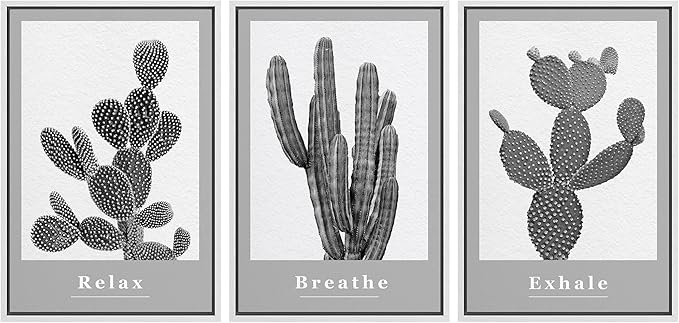Ashbrook Framed Wall Art Print Set Black & White Grayscale Desert Succulents Nature Wilderness Photography Modern Art Boho Scenic Dramatic for Living Room, Bedroom, Office - 24"x36"x3 White
