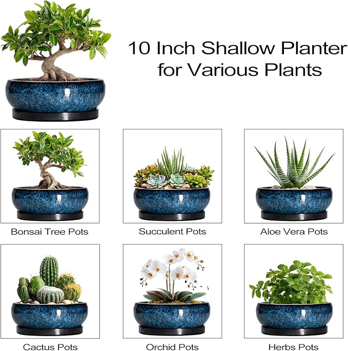 Bonsai Tree Pots 10 Inch - Ceramic Succulent Pot with Drainage Hole and Saucer, Bonsai Pots for Indoor Outdoor, Round Succulent Planter, Shallow Planter, Desk Decor, Plant Lover Gifts, Blue