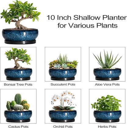 Bonsai Tree Pots 10 Inch - Ceramic Succulent Pot with Drainage Hole and Saucer, Bonsai Pots for Indoor Outdoor, Round Succulent Planter, Shallow Planter, Desk Decor, Plant Lover Gifts, Blue