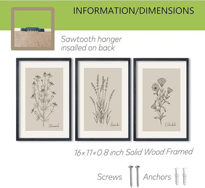 TQianJiang Set Of 3 Framed Vintage Botanical Prints Wall Art 16"×11" Wildflower Pictures Wall Decor for Bedroom Bathroom Living Room Minimalist Line Drawing Neutral Tones Wall Hanging (Black)
