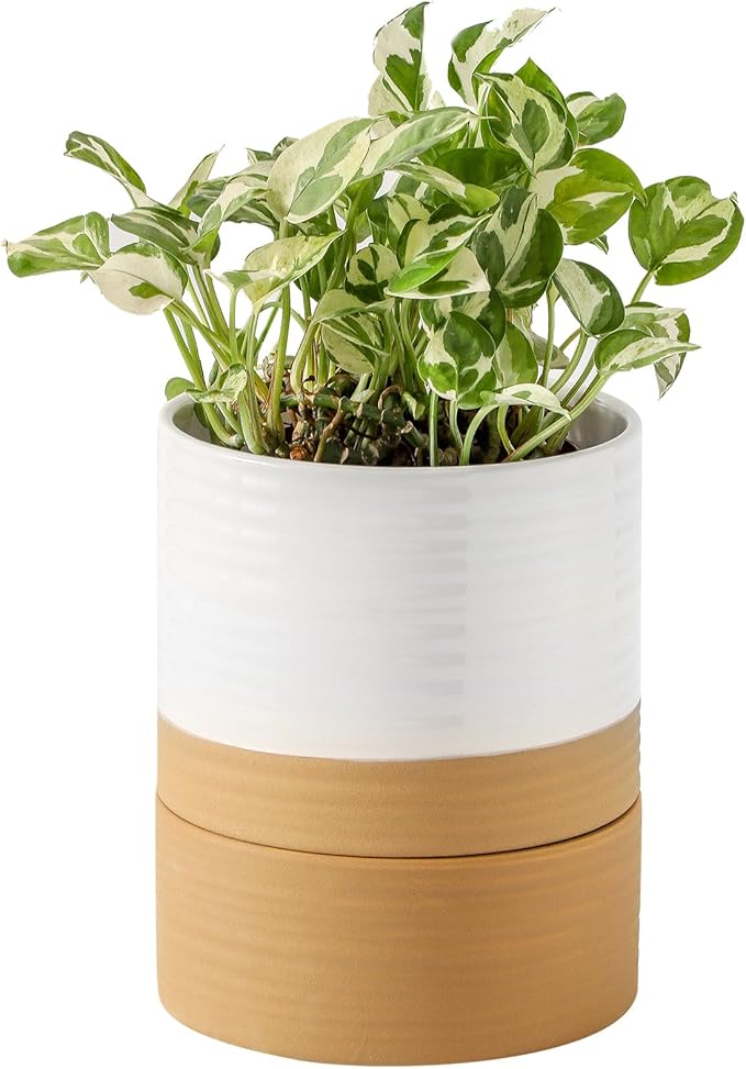 HASENSE Ceramic Plant Pots, 6 Inch Pot with Drainage Hole & Matching Saucer, Ideal for Indoor Succulents,Flower Pots for Decor,Succulent, Snake Plants, Cactus, Modern Decor Gift for Mom(White)