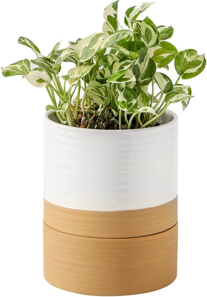 HASENSE Ceramic Plant Pots, 6 Inch Pot with Drainage Hole & Matching Saucer, Ideal for Indoor Succulents,Flower Pots for Decor,Succulent, Snake Plants, Cactus, Modern Decor Gift for Mom(White)