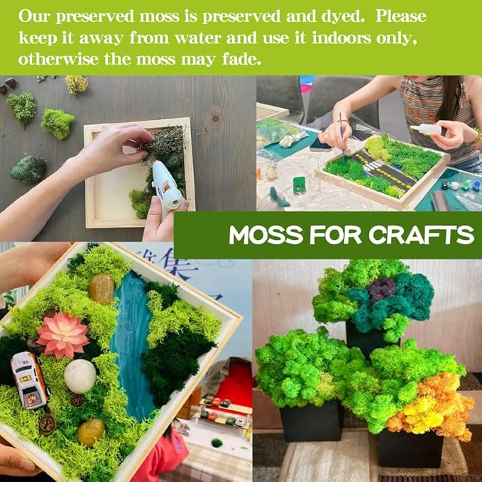 Preserved Reindeer Craft Moss-17.6oz Natural Green DIY Kit Gardenning Art Wall Florist Moss Terrariums Gardenning Decor Landscape Garden Decor(Shallow Green 17.6 OZ)