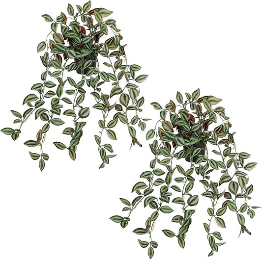 2 Pack Fake Hanging Plants for Shelf in Back Pot, Small Artificial Hanging Ivy Vine Plants Indoor Fake Potted Greenery Plant for Home Room Wall Tabletop Mantel Decor, Mimi Faux Peperomia Plant Set