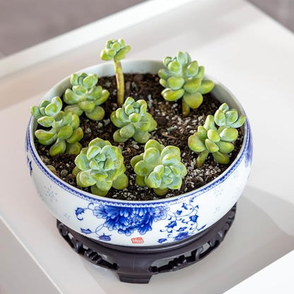 TOIVO Lotus Bowl Planter, Coarse Pottery Water Lily Flower Pot with Plastic Base, 7.8 inches (A-3)