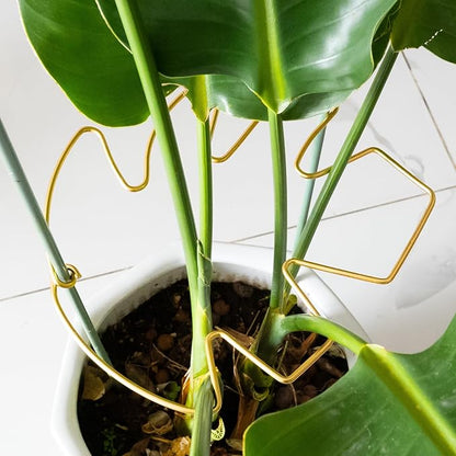 5PCS 11 * 9.4 Inch Monstera Plant Support Stem - Premium Adjustable Leaf Holder & Fishbone Cactus Stake, Durable Gardening Tool for Climbing Plants, Easy Installation & Enhanced Stability