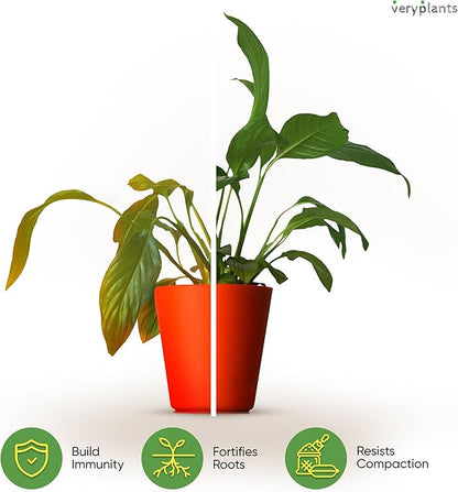 Molly's Aroid Mix - Premium Soilless Potting Mix for Houseplants - Fast Draining, Chunky & Easier to Water vs. Soil for Indoor Plants - with Bark, Coco Chips, Worm Castings, Mycorrhizae 3 Dry Quarts