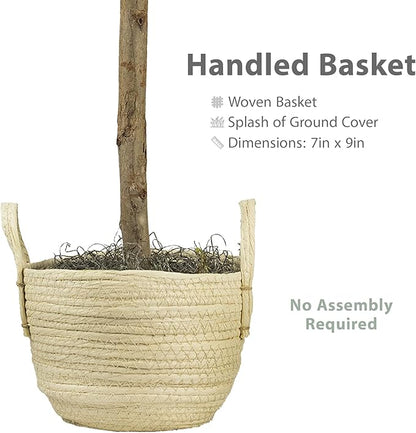 3ft Artificial Fiddle Leaf Fig Tree in Boho Woven Basket - Real Wood Trunk, Preassembled, No Maintenance Indoor Faux Plant - Living Room, Home & Office Decor