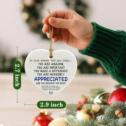 in Case Nobody Told You Today: You are Amazing, Important & Make a Difference - Affirmations Sign | Office Gift, Appreciation Gifts, Thank You Gifts, Going Away, Retirement Gift | Christmas Ornament