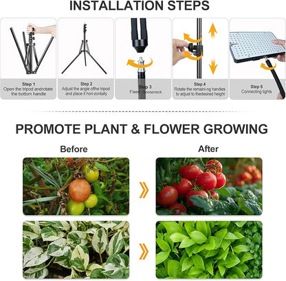 Grow Light with Stand, Orchbloom Grow Lights for Indoor Plants 100W, Natural Sunlight Full Spectrum Plant Growing Lamps for Houseplants & Bonsai Tree, 4/8/12 Hr Timer Plant Light Auto On/Off Everyday