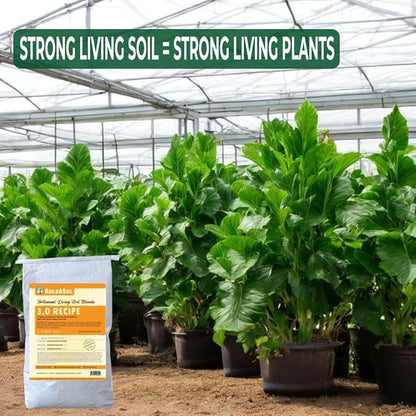 BuildASoil Potting Soil Recipe 3.0
