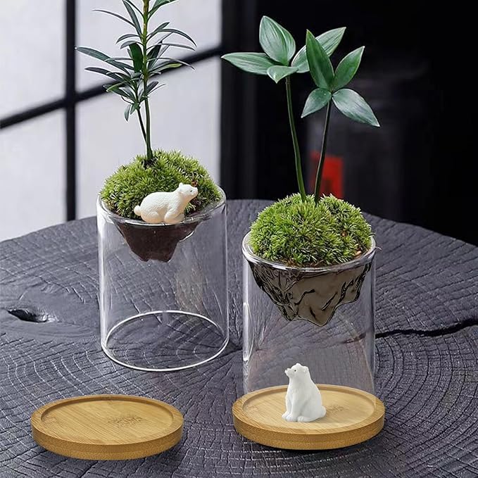 Plant Propagation Stations, 2Pcs Desktop Plants Terrarium Glass Hydroponic Vases with Bamboo Saucer, Water Plants Jars, Mountain-Shaped Bottom, Ideal Gifts for Women Mon Plant Lovers