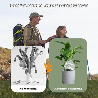 Heart-Shaped 7.04oz/200ml Plant Watering Globes - 6 Self Watering Globes for Outdoor ＆ Indoor Plants - Automatic,Slow,Self Watering Spikes Care of Plants Everyday