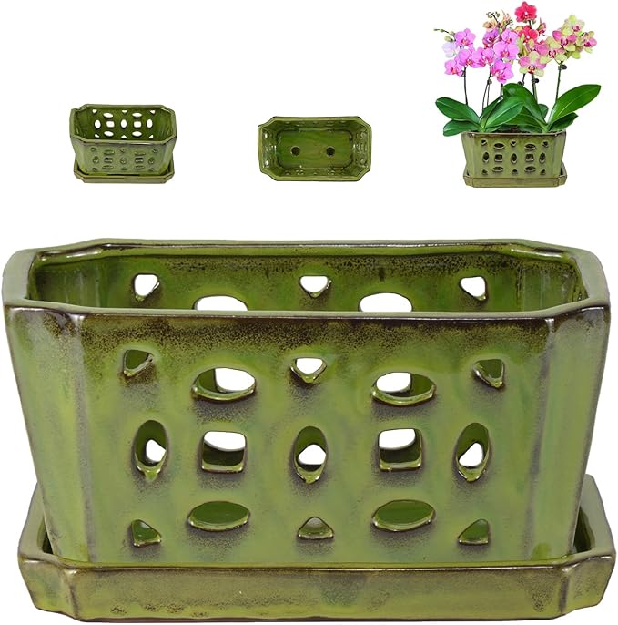 W&W Orchid Pot with Holes and Saucer for Repotting, YellowGreen, 9.7 Inches